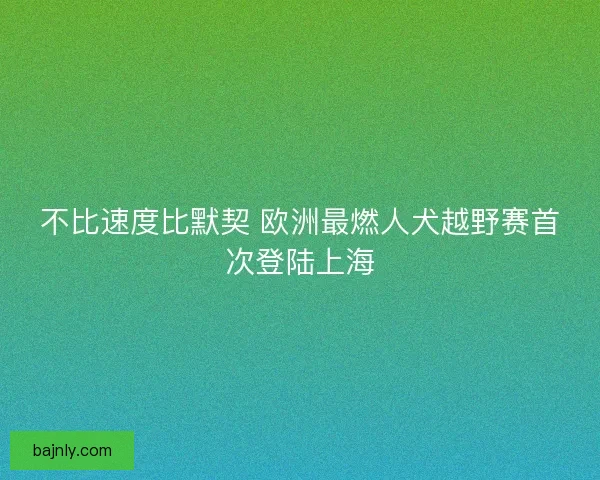 不比速度比默契 欧洲最燃人犬越野赛首次登陆上海